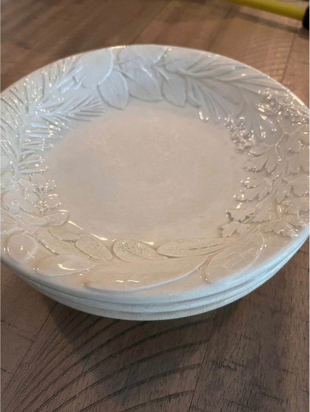 Williams-Sonoma Herb 9” Pasta Bowls Set of 3 Embossed Botanical Made in Italy